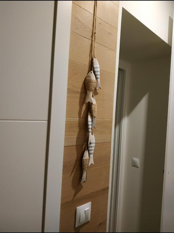 Apartamento - Patio 1812 Cádiz Eksteriør billede